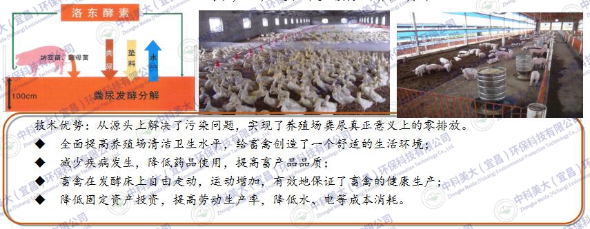 &#24320;&#20113;&#30331;&#38470;&#20837;&#21475;&#45;&#24320;&#20113;&#40;&#20013;&#22269;&#41;